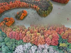 -上海海湾国家森林公园