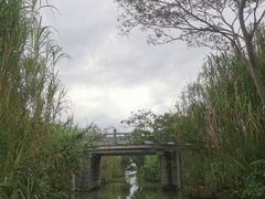 -艾溪湖湿地公园