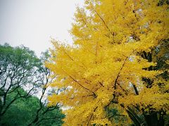 -汇龙潭