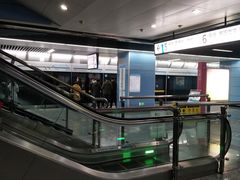 -大龙山(地铁站)