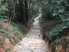 -武夷山风景名胜区-虎啸岩
