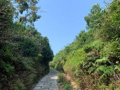 -桃花岭景区
