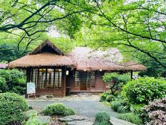 -中国茶叶博物馆(双峰馆区)
