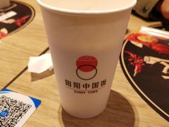 -阳阳中国饭(北京荟聚店)