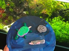 -UCCA Kids 儿童美育