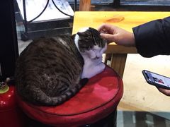 -傅先生东北菜(青年城店)