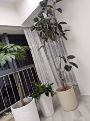 -HEYAN荷妍专业脱毛连锁机构