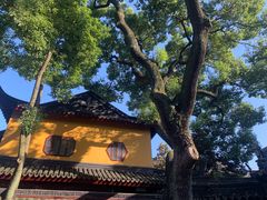 -西园戒幢律寺