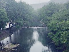-鹿亭中村
