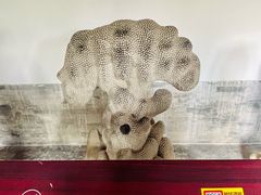 -莲池书院博物馆