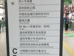 -大剧院(地铁站)