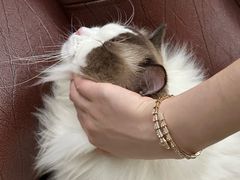 -拜鲁耶动物诊疗中心·宠家动物医院