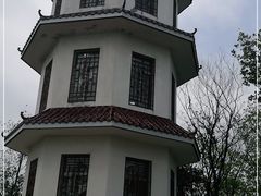 -安康凤凰山森林公园