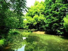 -洛阳市隋唐城遗址植物园