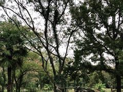 -杭州植物园