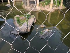 -南昌动物园