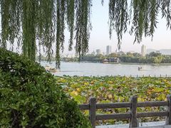 -海底捞火锅(明湖路店)