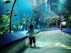 -福州罗源湾海洋世界旅游区