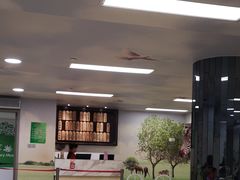 -自然博物馆新馆2楼餐厅