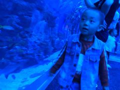 -成都浩海立方海洋公园