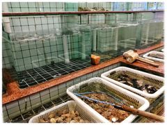 水产区-清真马家美食城•海鲜•青岛菜•火锅(延安三路店)