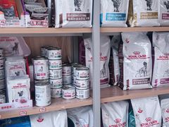 -美联众合爱康动物医院•复杂内科•肿瘤科•牙科•腔镜诊疗中心