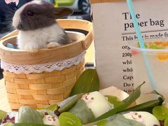 -大象厨房(重庆道店)