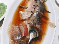 酒蒸鲥鱼-蝶园·装修中(BFC外滩金融中心店)