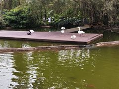-海南热带野生动植物园
