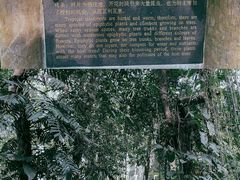 -中国科学院西双版纳热带植物园