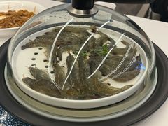 -望海臻鲜·海鲜餐厅