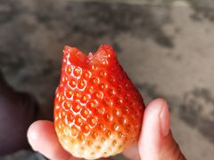-CoCo都可(大兴店)