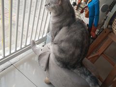 -平行世界·猫咖(首经贸店)
