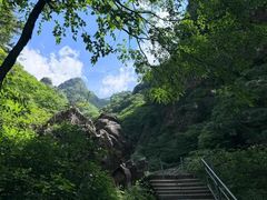 -秦岭风景区