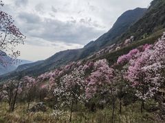 -九皇山景区