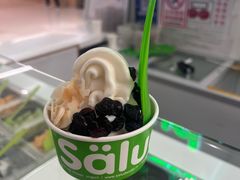 -Salud撒露欧洲冻酸奶(五道口购物中心店)