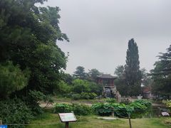 -国家植物园南园