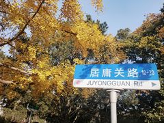 -八大关景区