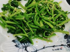 -撒拉人家.酸菜牦牛肉火锅