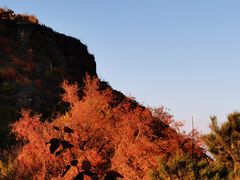 -香山公园
