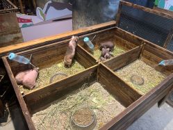 -酷嗒动物文化乐园(cutezoo西溪乐天城店)