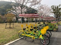 -龙寺生态园