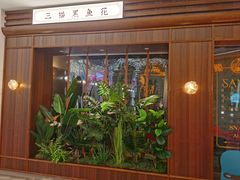 -三猫黑鱼花(南大店)