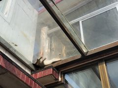 -康陵正德春饼宴26号