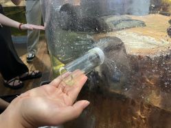 -Zoolung Zoolung动物主题公园(海信广场店)