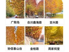 -南山植物园