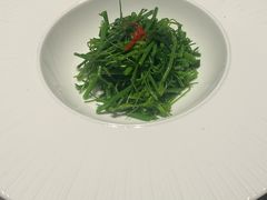 玉琅玕-觀芷隐轩