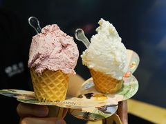 杨梅冰激凌-野人先生现做冰淇淋(北京顺义祥云小镇店)