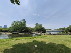 -滨湖塘西河公园