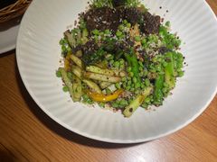 生机勃勃-庆春朴门